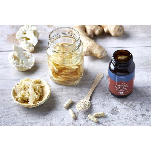 Terranova Fermented Ginger FERZINGER, 50 kaps