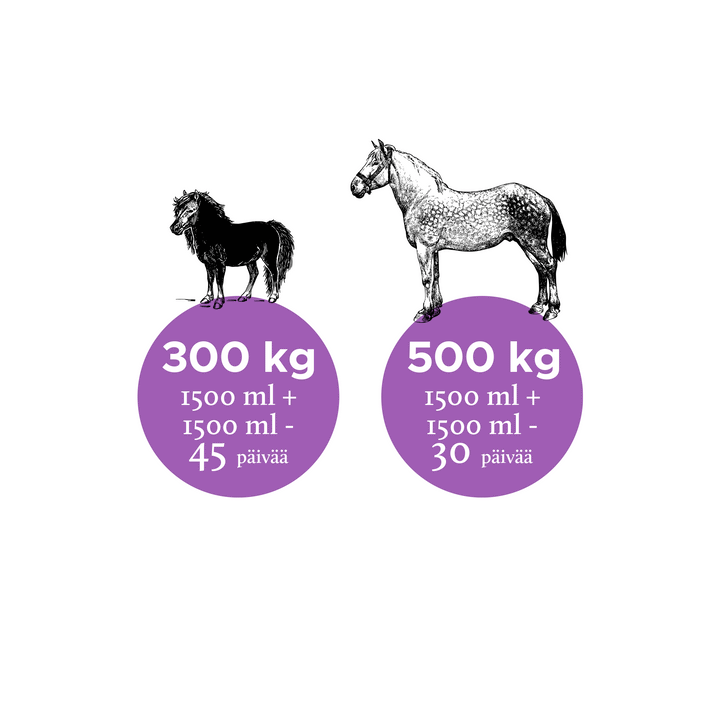 Nutrolin Horse Joint Duo 3000ml - Rasvahapot Hevoselle - Apteekki 360 Helsinki - Verkkoapteekki