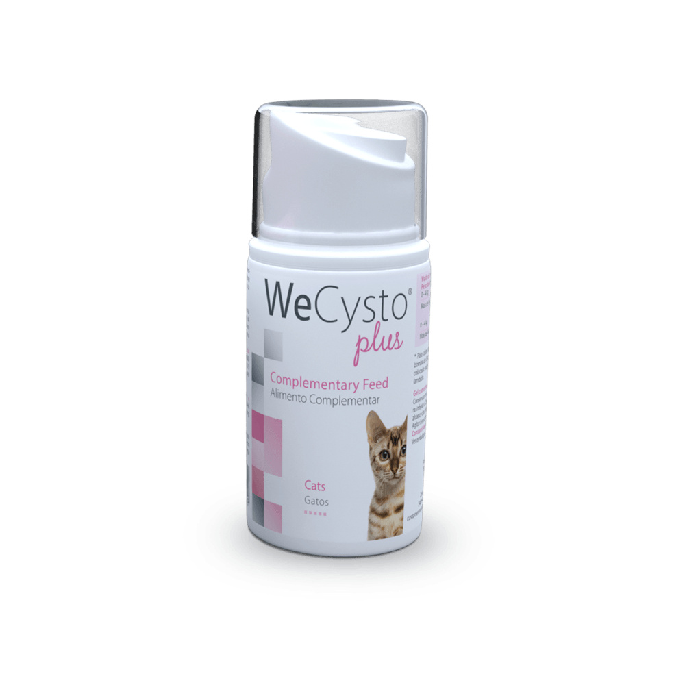Wecysto Plus Oral Gel - Apteekki 360 Helsinki - Verkkoapteekki