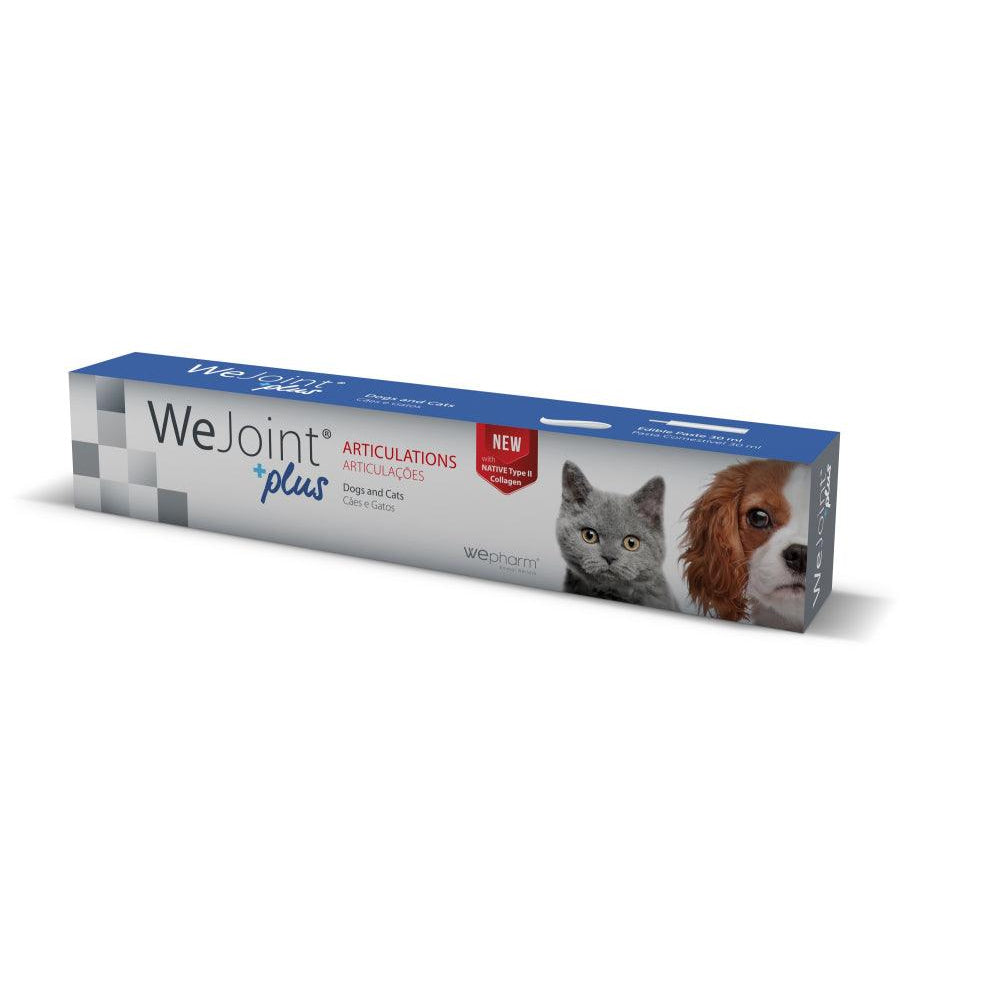 Wejoint Plus Makupasta - Apteekki 360 Helsinki - Verkkoapteekki